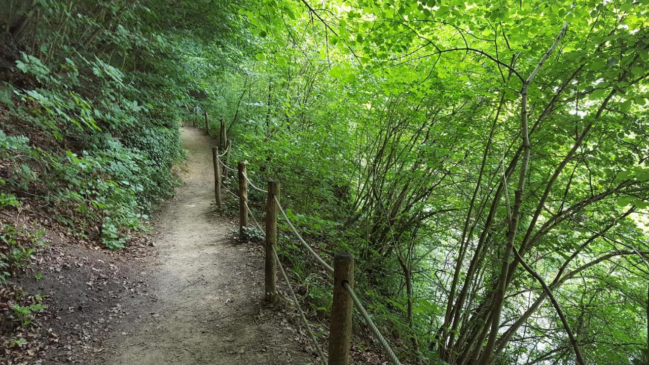 Gastsuite In Valkenburg Aan De Geul Exteriér fotografie